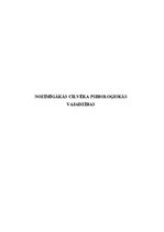 Referāts 'Nozīmīgākās cilvēka psiholoģiskās vajadzības', 1.