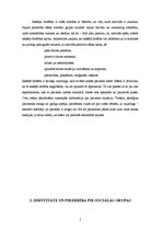 Referāts 'Nozīmīgākās cilvēka psiholoģiskās vajadzības', 5.