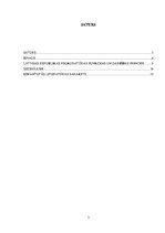 Referāts 'Latvijas Republikas prokuratūras funkcijas un darbības principi', 3.