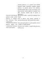 Referāts 'Latvijas Republikas prokuratūras funkcijas un darbības principi', 13.