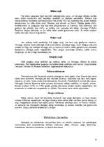 Referāts 'Kurzemes - Zemgales hercogiste', 14.