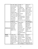 Konspekts 'Austrumu kultūra', 4.