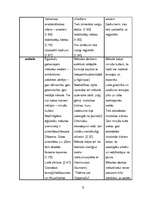 Konspekts 'Austrumu kultūra', 5.