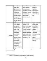 Konspekts 'Austrumu kultūra', 7.