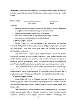 Prakses atskaite 'Prakses dienasgrāmata podoloģijā', 13.