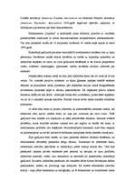 Referāts 'Labdarība kā firmas tēla veidošanas stratēģija', 12.