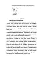 Referāts 'Labdarība kā firmas tēla veidošanas stratēģija', 47.