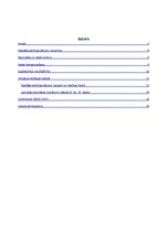Referāts 'Mākslinieks Ansis Cīrulis', 2.