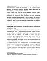 Referāts 'Patentu licences un starptautiskā tirdzniecība ar tām', 5.