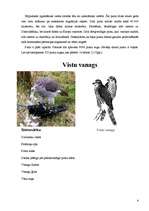 Konspekts 'Putni', 4.