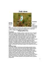 Konspekts 'Putni', 7.