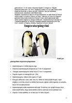 Konspekts 'Putni', 11.