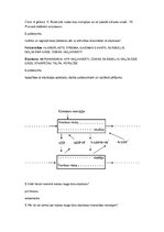 Konspekts 'Fotosintēze, šūnu enereģētiskā vielmaiņa, mitoze un mejoze, dzīvnieku un cilvēka', 4.