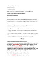 Konspekts 'Fotosintēze, šūnu enereģētiskā vielmaiņa, mitoze un mejoze, dzīvnieku un cilvēka', 5.