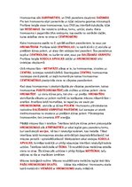 Konspekts 'Fotosintēze, šūnu enereģētiskā vielmaiņa, mitoze un mejoze, dzīvnieku un cilvēka', 6.