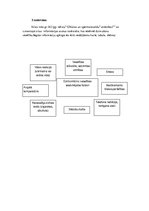 Konspekts 'Fotosintēze, šūnu enereģētiskā vielmaiņa, mitoze un mejoze, dzīvnieku un cilvēka', 11.