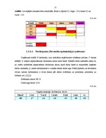 Referāts 'Optimizācijas uzdevumu pielietošana ekonomikā', 25.