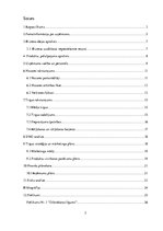 Biznesa plāns 'Biznesa plāns', 2.