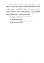 Biznesa plāns 'Biznesa plāns', 5.