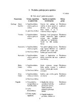 Biznesa plāns 'Biznesa plāns', 9.