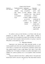 Biznesa plāns 'Biznesa plāns', 17.