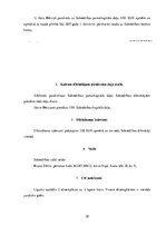 Biznesa plāns 'Biznesa plāns', 28.