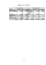 Biznesa plāns 'Biznesa plāns', 41.