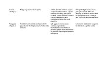 Konspekts 'Attīstība pa vecuma posmiem', 4.