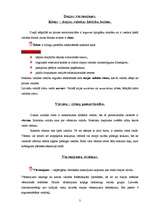 Referāts 'Vārsmojums, vārsmojuma sistēmas', 3.