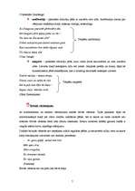 Referāts 'Vārsmojums, vārsmojuma sistēmas', 7.