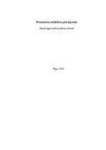 Referāts 'Feminisma attīstības pamatposmi', 1.