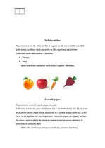 Prakses atskaite 'Bērns ar speciālajām vajadzībām', 4.