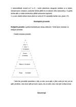 Referāts 'Ģenētika, evolūcija, ekoloģija, pārskats krustošanā un gēnu mijiedarbībā', 14.