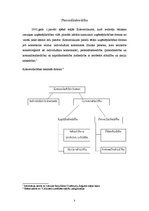 Referāts 'Personālsabiedrība', 3.