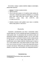 Referāts 'Personālsabiedrība', 8.