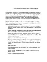 Referāts 'Intervija, pretendējot uz stjuartes amatu', 1.