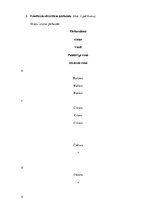 Prakses atskaite 'Bērna runas attīstības un valodas apguves izpēte pirmsskolas vecumā', 4.