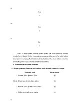 Prakses atskaite 'Bērna runas attīstības un valodas apguves izpēte pirmsskolas vecumā', 9.