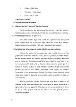 Prakses atskaite 'Bērna runas attīstības un valodas apguves izpēte pirmsskolas vecumā', 15.