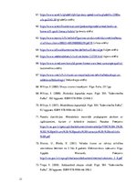 Prakses atskaite 'Bērna runas attīstības un valodas apguves izpēte pirmsskolas vecumā', 21.