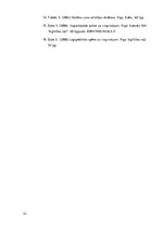 Prakses atskaite 'Bērna runas attīstības un valodas apguves izpēte pirmsskolas vecumā', 22.