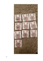 Prakses atskaite 'Bērna runas attīstības un valodas apguves izpēte pirmsskolas vecumā', 25.