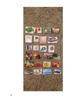 Prakses atskaite 'Bērna runas attīstības un valodas apguves izpēte pirmsskolas vecumā', 30.