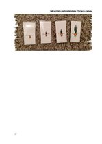 Prakses atskaite 'Bērna runas attīstības un valodas apguves izpēte pirmsskolas vecumā', 37.