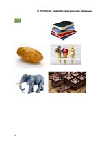 Prakses atskaite 'Bērna runas attīstības un valodas apguves izpēte pirmsskolas vecumā', 41.