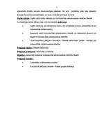 Referāts 'Tirdzniecības infrastruktūras attīstība', 4.