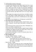 Konspekts 'Rainis. Dzīves dati. Filosofija. Darbi', 2.