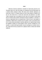 Referāts 'Muižu un piļu pielāgošana viesmīlības vajadzībām', 2.