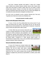 Referāts 'Muižu un piļu pielāgošana viesmīlības vajadzībām', 5.