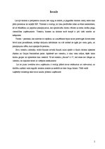 Biznesa plāns 'Uzņēmuma "Rauna" attīstības plāns', 4.